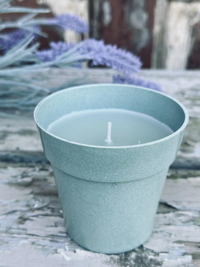 Myggelys – Citronella i biopotte - VIAMAJA.DK