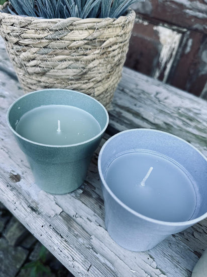 Myggelys – Citronella i biopotte - VIAMAJA.DK