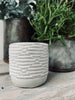 Myggelys - Citronella Stone