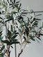 Oliventræ 120 cm - VIAMAJA.DK