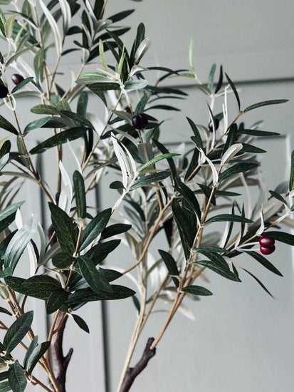 Oliventræ 120 cm - VIAMAJA.DK