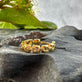 Ørering Single Rachel 18K forgyldt - 1 stk - VIAMAJA.DK