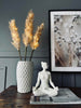 Pampas med LED lys og timerfunktion