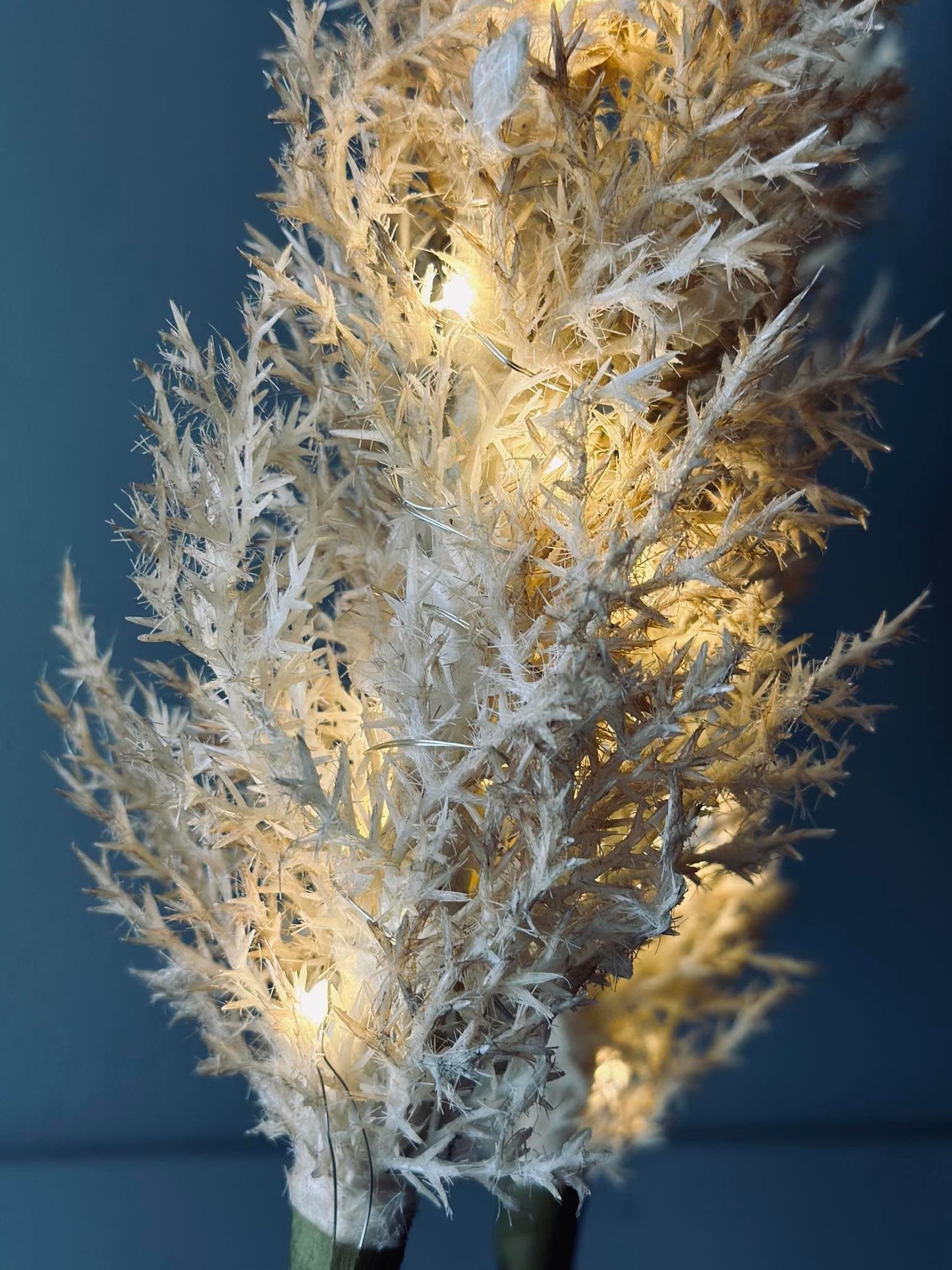 Pampas med LED lys og timerfunktion - VIAMAJA.DK