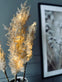 Pampas med LED lys og timerfunktion - VIAMAJA.DK