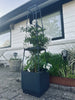 Plantetårn til tomater og klatreplanter
