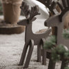 Rudolf – Lille