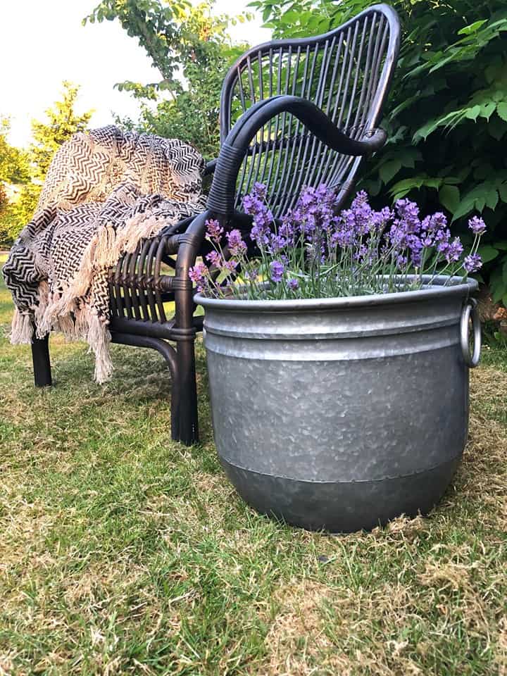Rustik blomsterbalje i zink - Lille - VIAMAJA