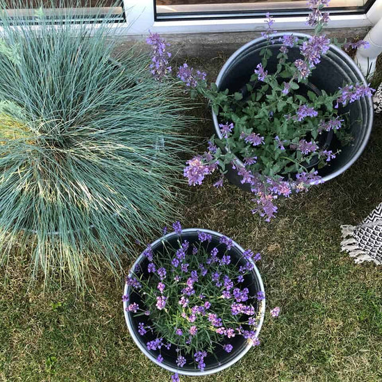 Rustik blomsterbalje i zink – UDSOLGT - VIAMAJA