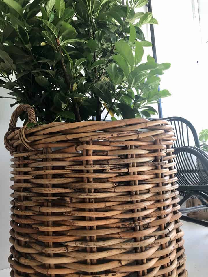 Rustik plantekurv - XXXL STR - SKAL AFHENTES I BUTIKKEN - VIAMAJA