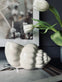 Shell Keramik 13×21 small - VIAMAJA.DK