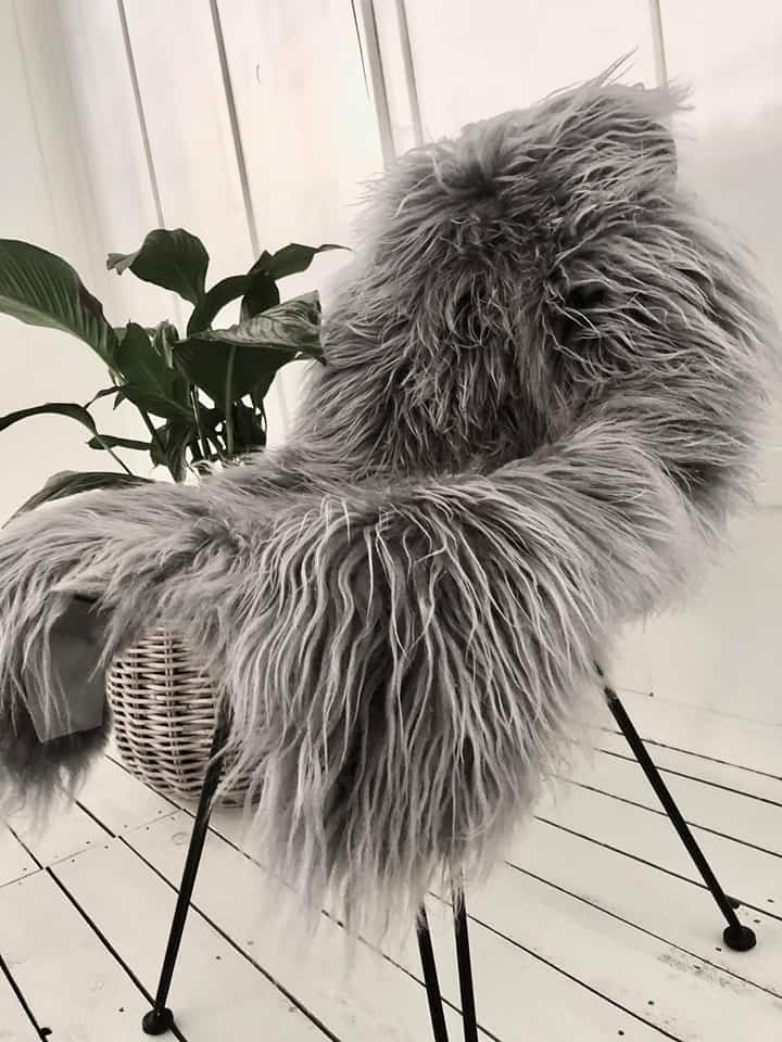 Silver Grey , Islandsk lammeskind  - VIAMAJA