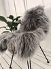 Silver Grey , Islandsk lammeskind