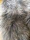 Silver Grey , Islandsk lammeskind  - VIAMAJA