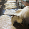 Store Hvide 2. Sortering´s Tilbud - 120-130 cm!