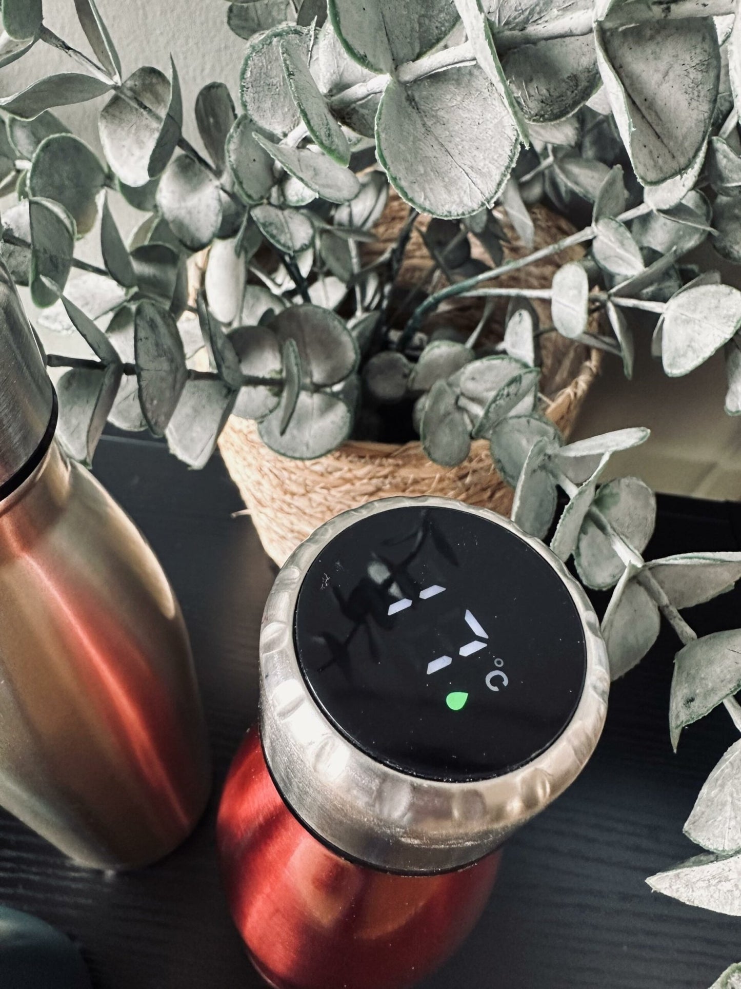 Termoflaske med termometer – Flere farver - VIAMAJA.DK