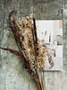 Tørret blomster – Brown mix