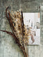 Tørret blomster – Brown mix - VIAMAJA.DK