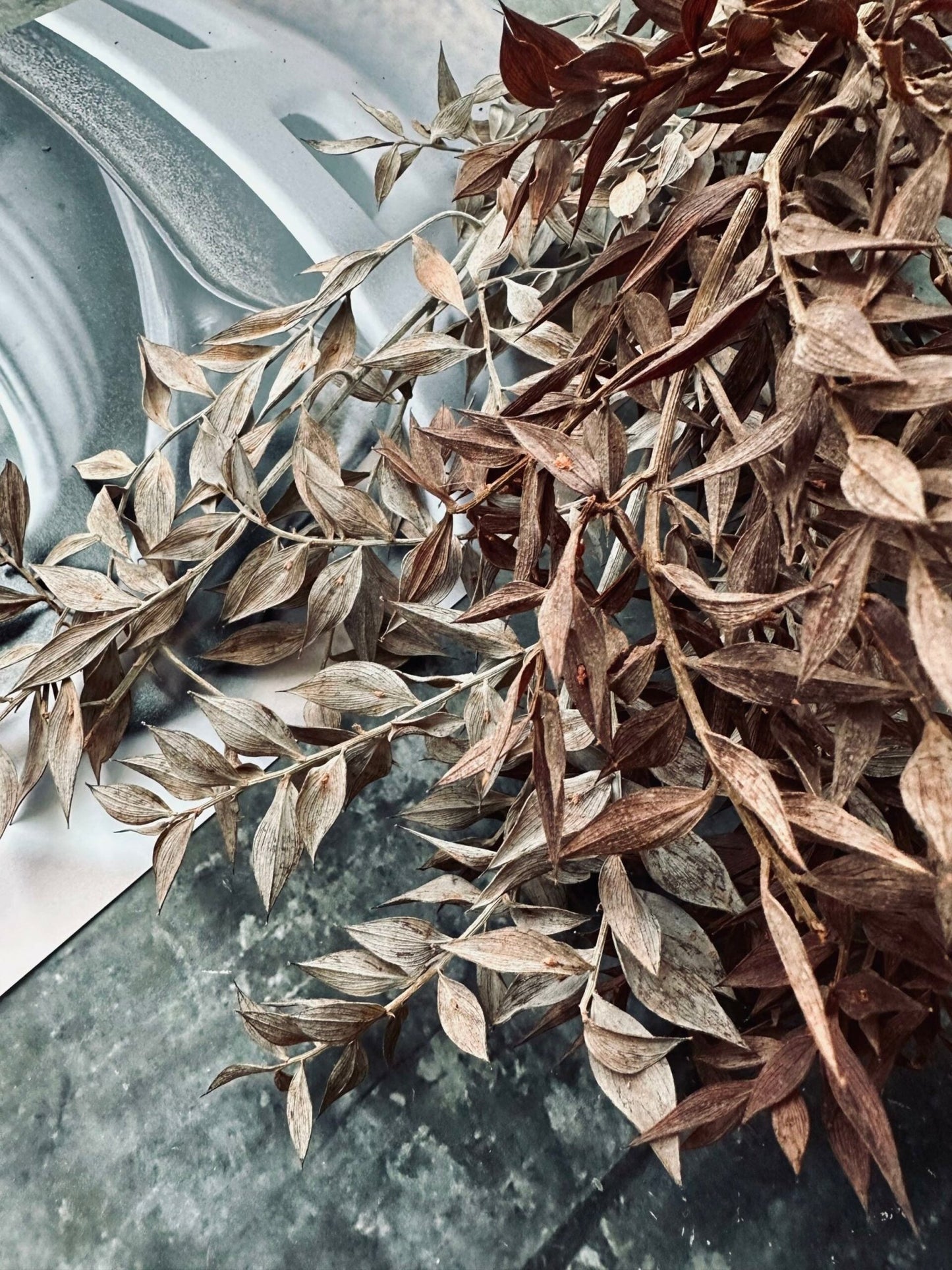 Tørret blomster – Brown ROSSA - VIAMAJA.DK