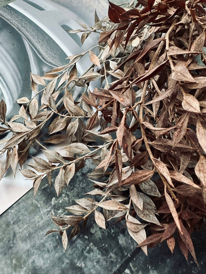 Tørret blomster – Brown ROSSA - VIAMAJA.DK
