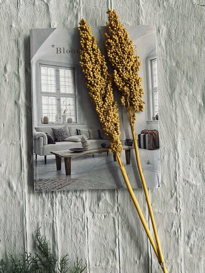 Tørret blomster – Karry - VIAMAJA.DK