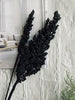 Tørret blomster Naomi – Black