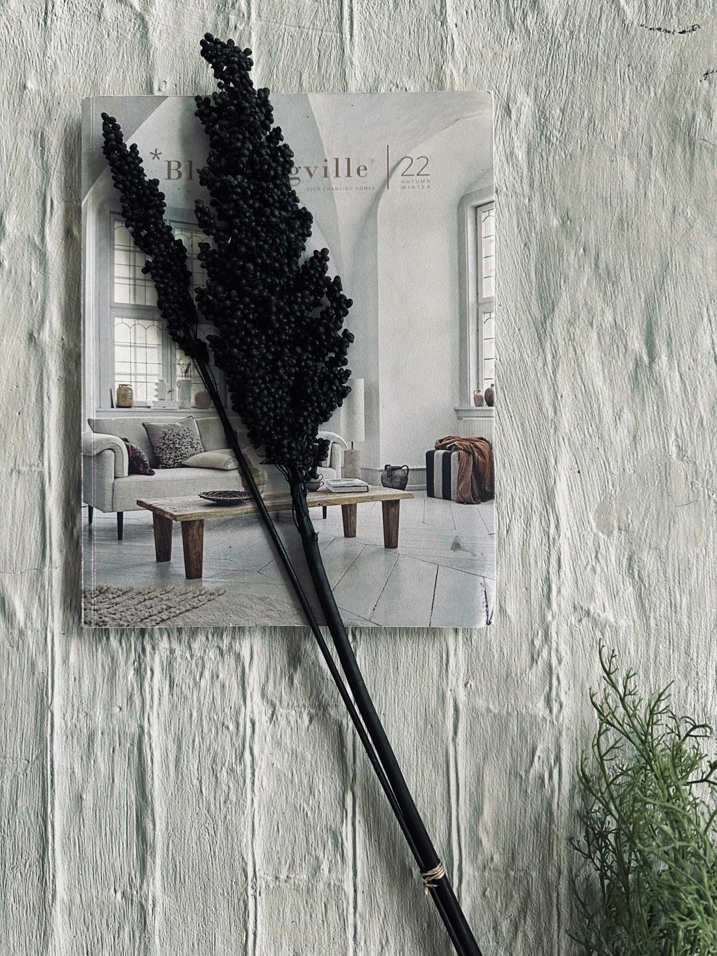 Tørret blomster Naomi – Black - VIAMAJA.DK