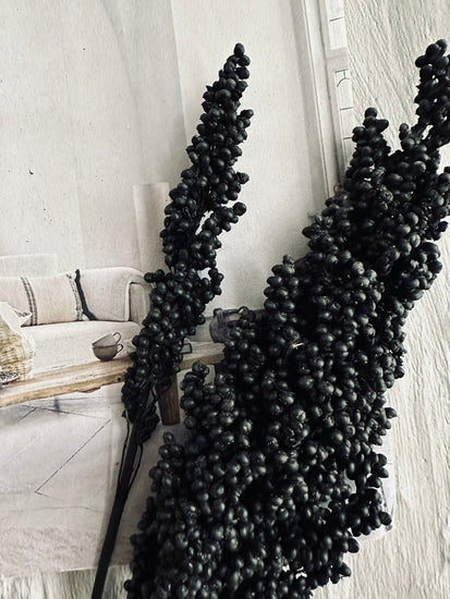 Tørret blomster Naomi – Black - VIAMAJA.DK
