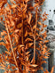 Tørret blomster – Orange - VIAMAJA.DK