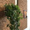 VIAMAJA Pottering – Sort / Stor