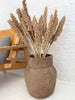 Wild Corn – Sahara – 20stk